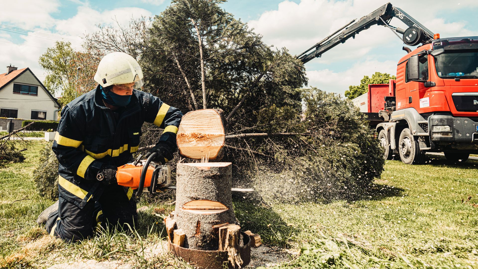 A man in a white helmet is cutting a tree with a chainsaw
